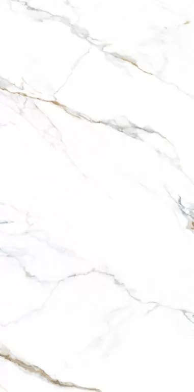 Керамогранит NTT3000M Carrara Gold Mat 120x240