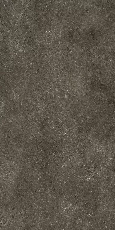 Керамогранит 768585 Sensi Brown Fossil Nat Ret 6mm 120x240