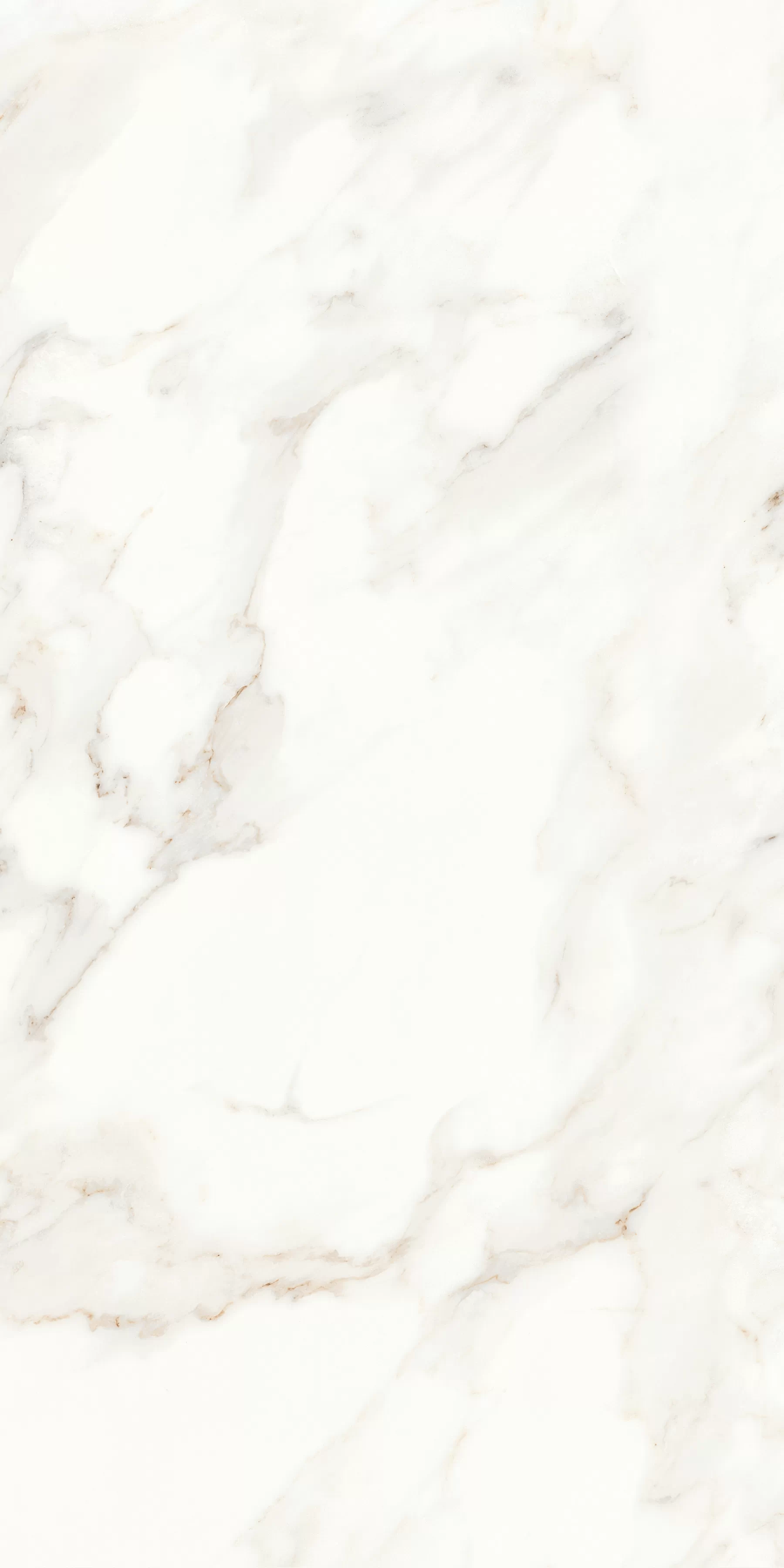 Керамогранит MPL-058622 Calacatta Satin 60x120