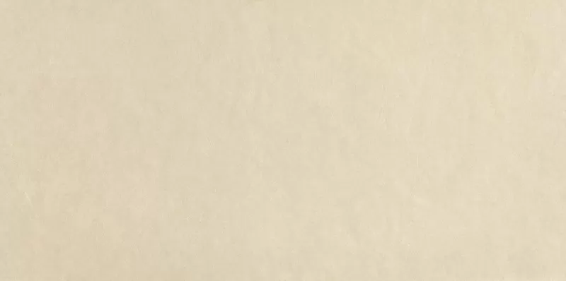 Плитка fPA5 Sheer Beige 80x160