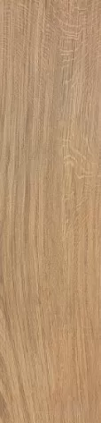 Керамогранит AJ8D Etic Rovere Ret. 22.5х90