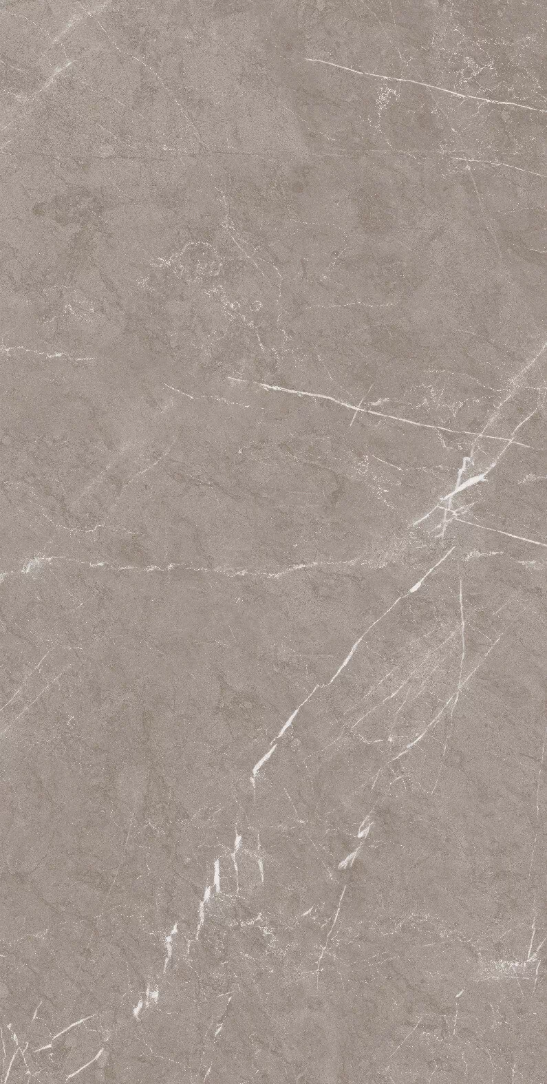 Керамогранит 1070 Monte Taupe Carv 120x60