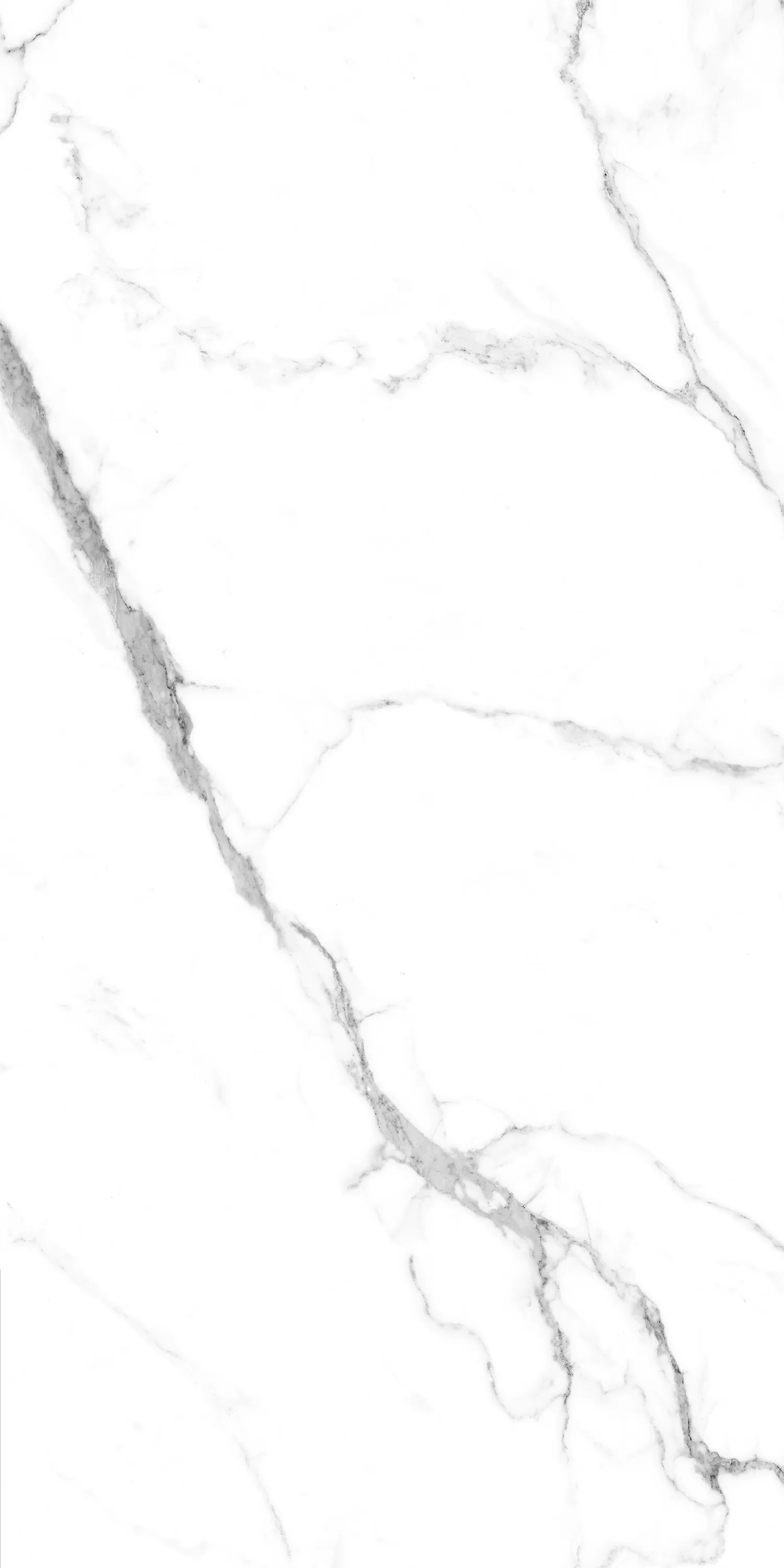 Керамогранит Caribbean White Glossy 60х120