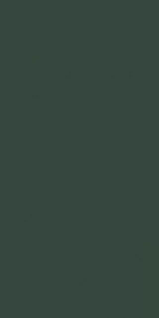 Керамогранит 767268 Crayons Moss Nat Ret 6mm 60x120