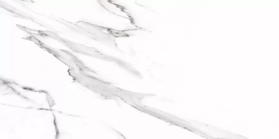 Керамогранит Carrara Rect матовая 60x120