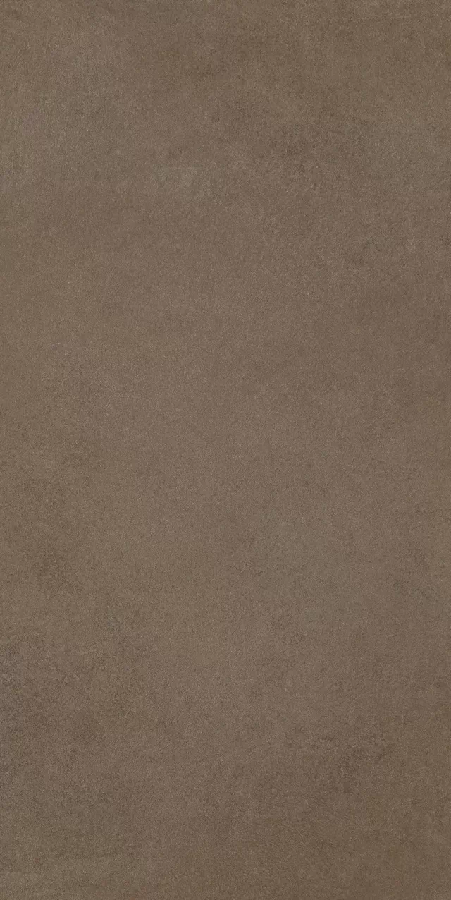 Керамогранит 780811 Easy Life Mushroom Matte Silk Ret 60x120