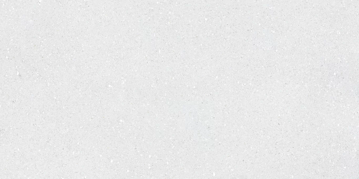 Керамогранит Sassy White Rec 60x120