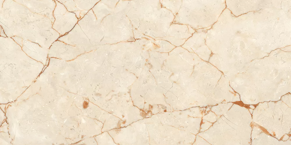 Керамогранит Rosalia Polished 60х120