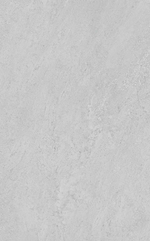 Плитка 6424 Мотиво серый светлый глянцевый 25x40