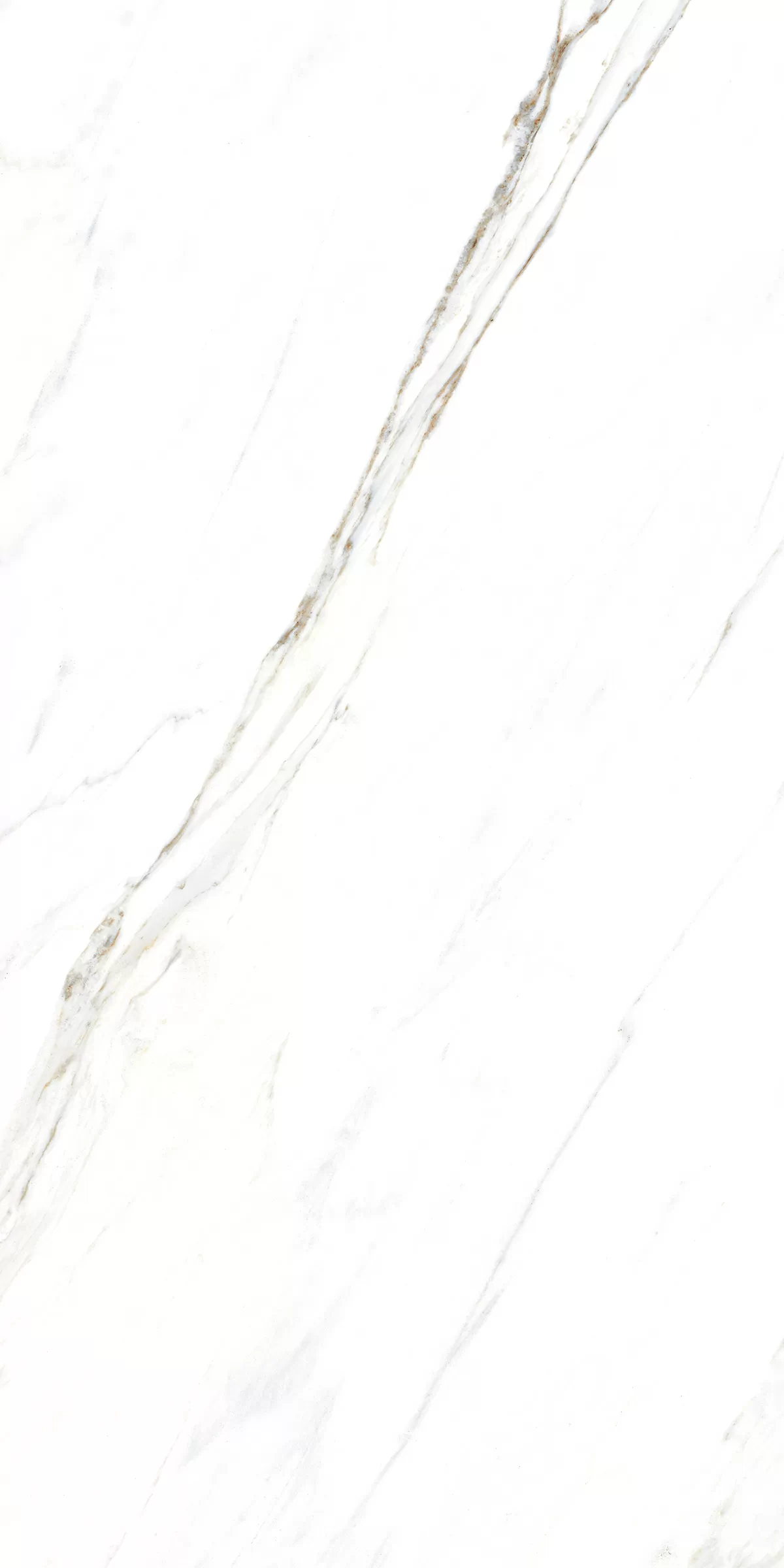 Керамогранит 885 Calacatta Caldia 120x60