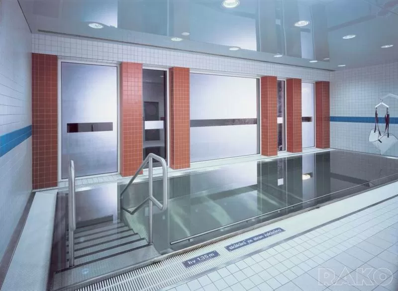 Плитка GSEAP112 Color Two 2,4*20