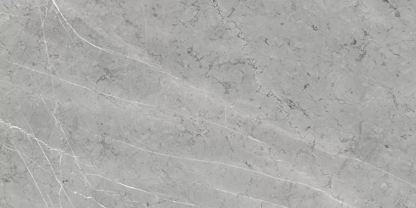 Керамогранит ETSTN1228MT60120 Santafe Gris Matt 60x120