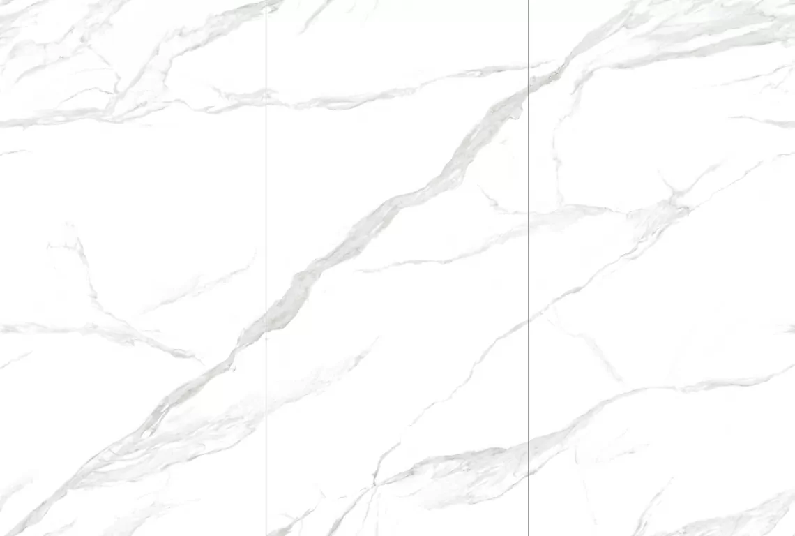 Керамогранит NTT3009M Statuario Mat 120x240