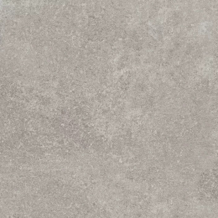 Керамогранит 100324749 Verbier Silver 59.6x59.6