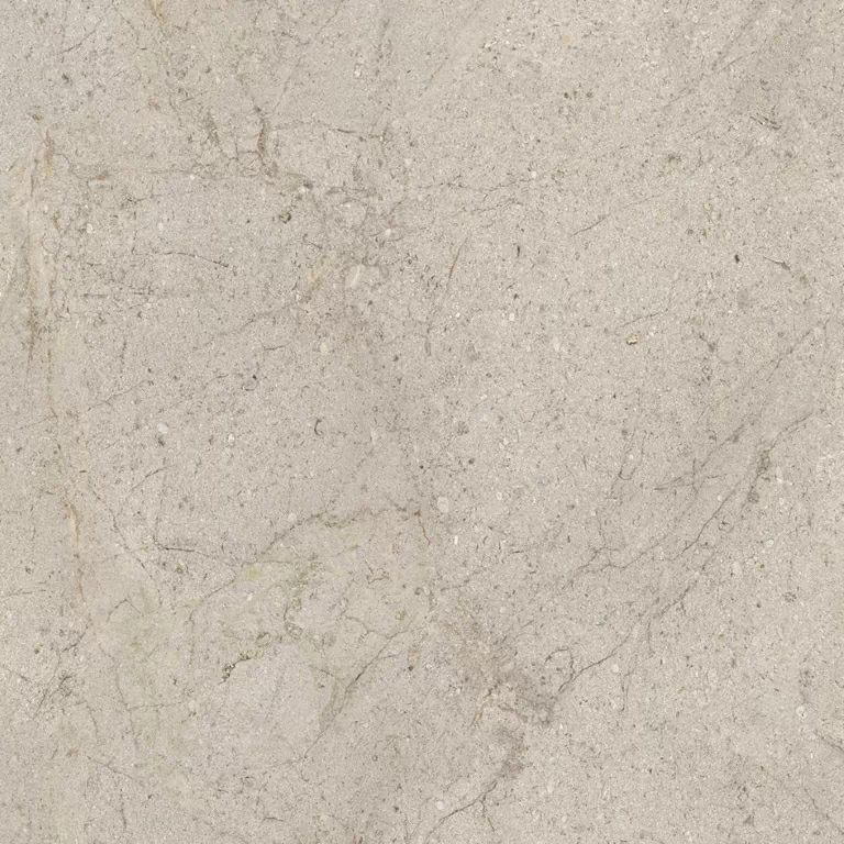 Керамогранит 100348060 Dorcia Acero L 80x80