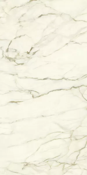 Керамогранит PK612575 Calacatta Macchia Vecchia Levigato Silk ret 60x120