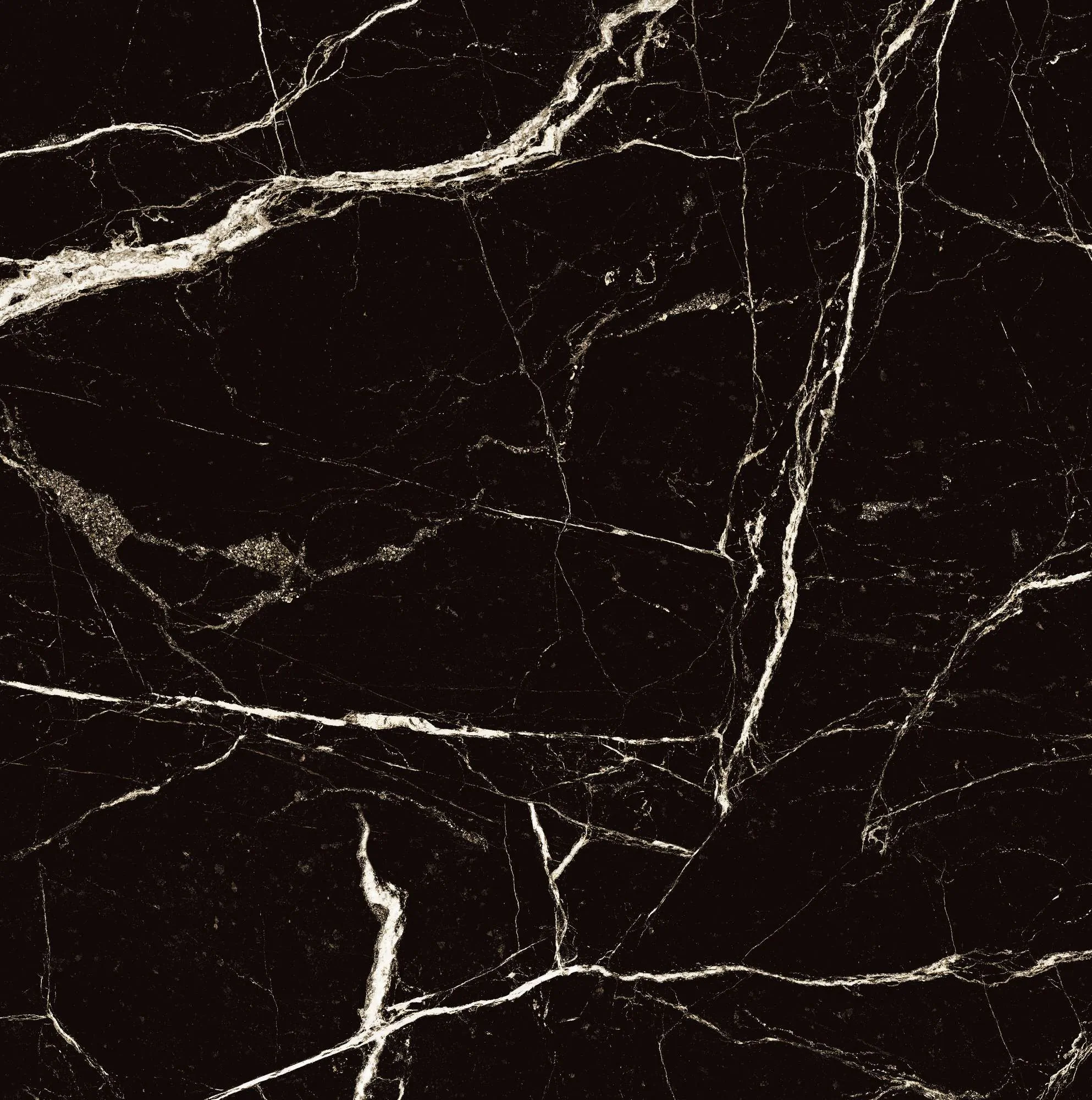 Керамогранит HG2008-A Black Spinder High Gloss 60x60