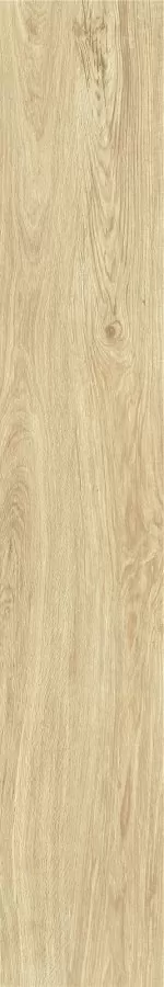 Керамогранит ZC 1223096 rect. 20x120