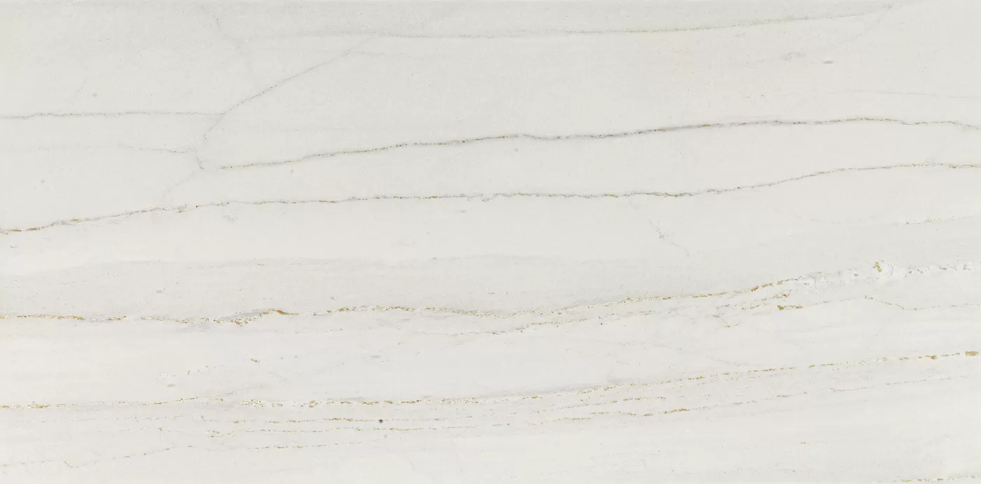 Керамогранит P26200011 Portofino Pulido 58,6x118,7