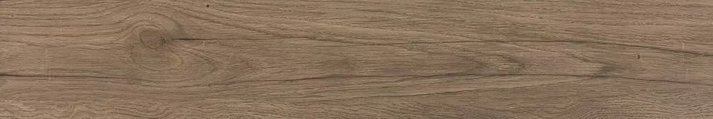 Керамогранит Albero Rectified 19,2x120