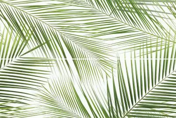 Плитка Панно Brennero Tropic (2) 50x75