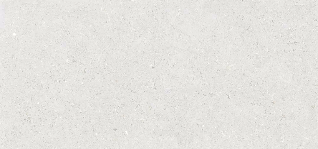Керамогранит Stx Fossil Bianco 59,8х119,8