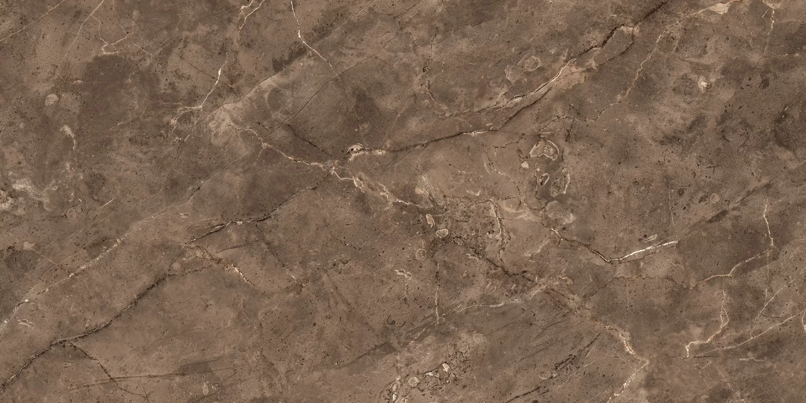 Керамогранит Paradiso Coco Glossy 600x1200