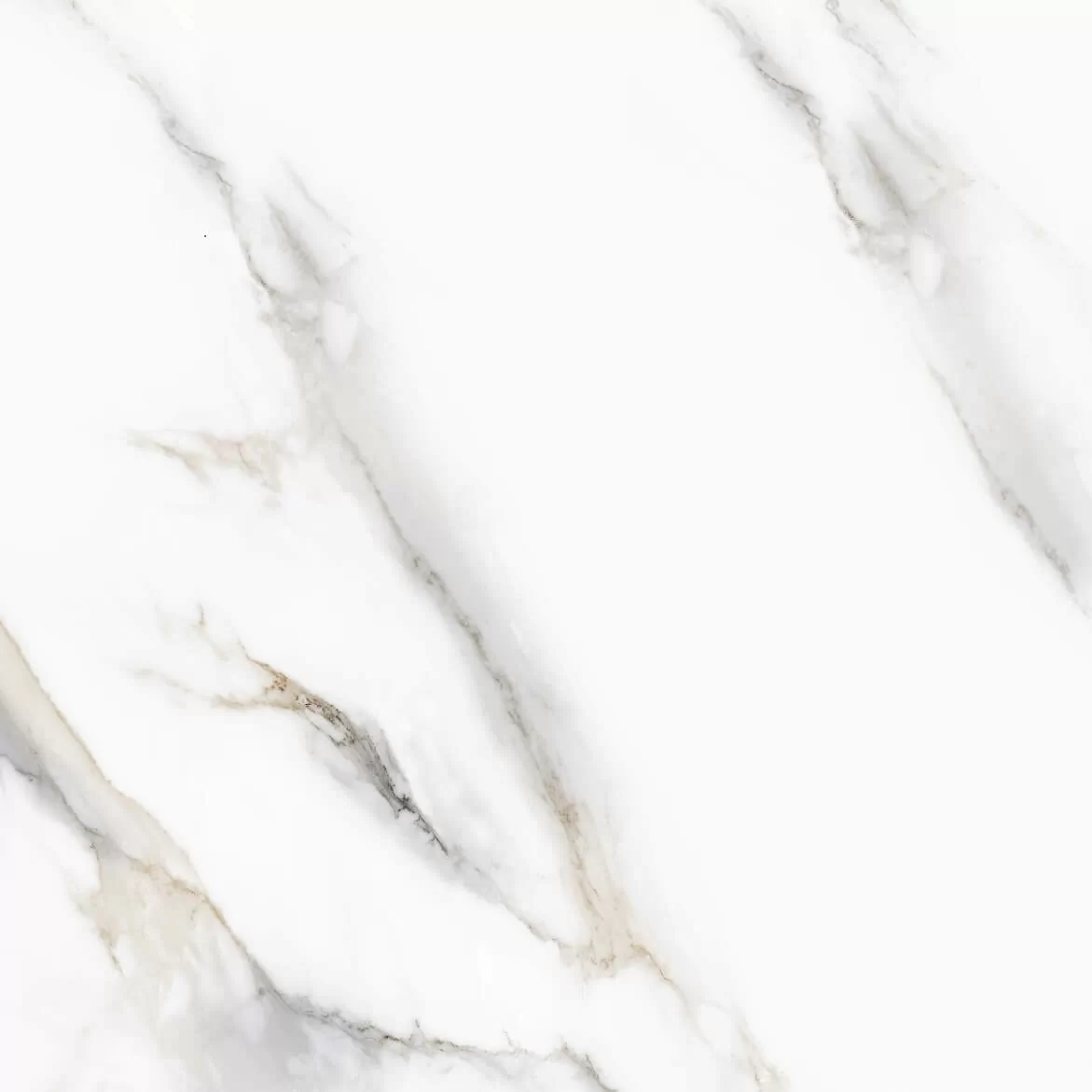 Керамогранит GR186509 Pelatin Polished 80х80