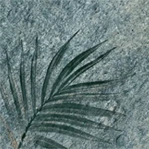 Керамогранит TR3333 Tropic 33х33