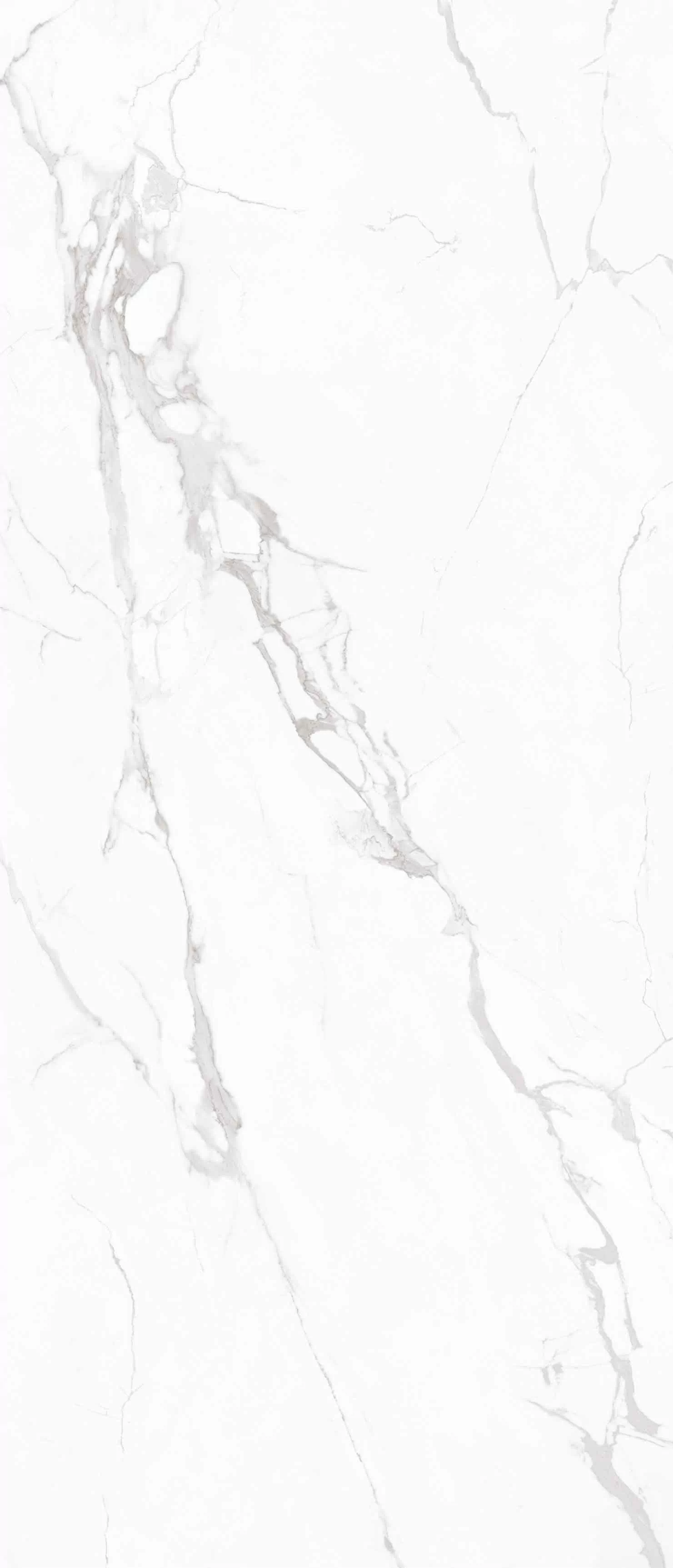 Керамогранит NTT3605P Marble White 120x280