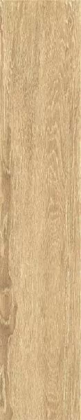 Керамогранит ZC 1023058 rect.. 20x100