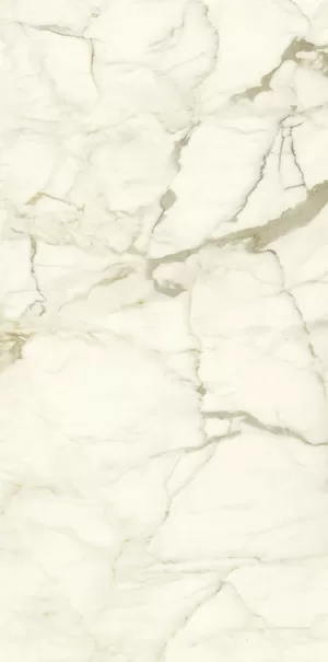 Керамогранит PL612575 Calacatta Macchia Vecchia Lucidato 60x120