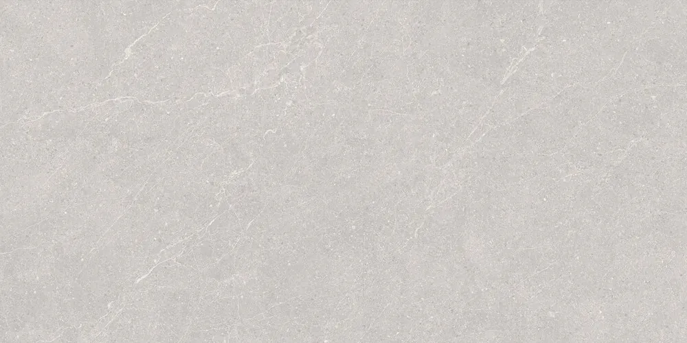 Керамогранит Elenta Ash Carving 60x120