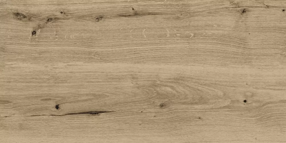 Керамогранит C-WS4O152D Woodhouse темно-бежевый 29,7х59,8
