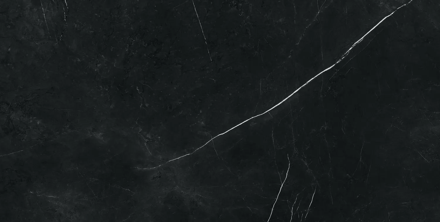 Керамогранит 610015000667 Forte dei Marmi Elegant Black Lapp 80x160