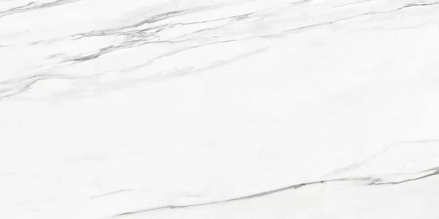 Керамогранит Callacata Silver Rect матовая 60x120