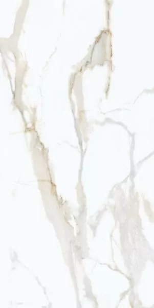 Керамогранит Calacatta Gold Honed 120x60