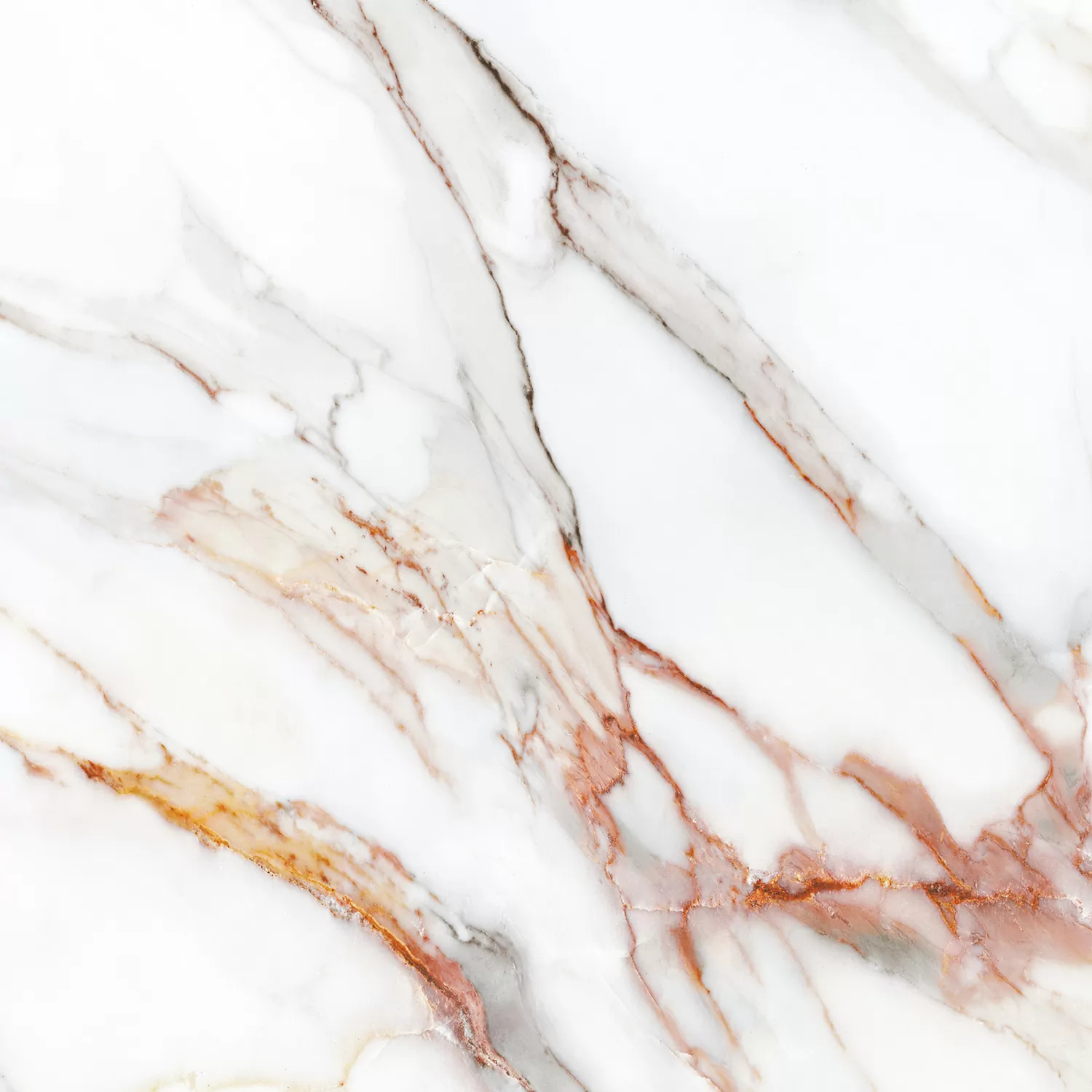 Керамогранит Beldia Bianco Elegance Polished 120х120