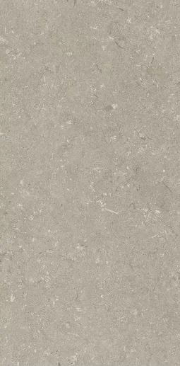 Керамогранит 005468 Shellstone Taupe 60x120