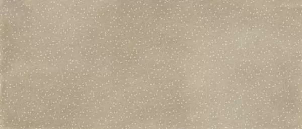 Керамогранит 227396 Garland Decor Hazelnut Nat 120x280