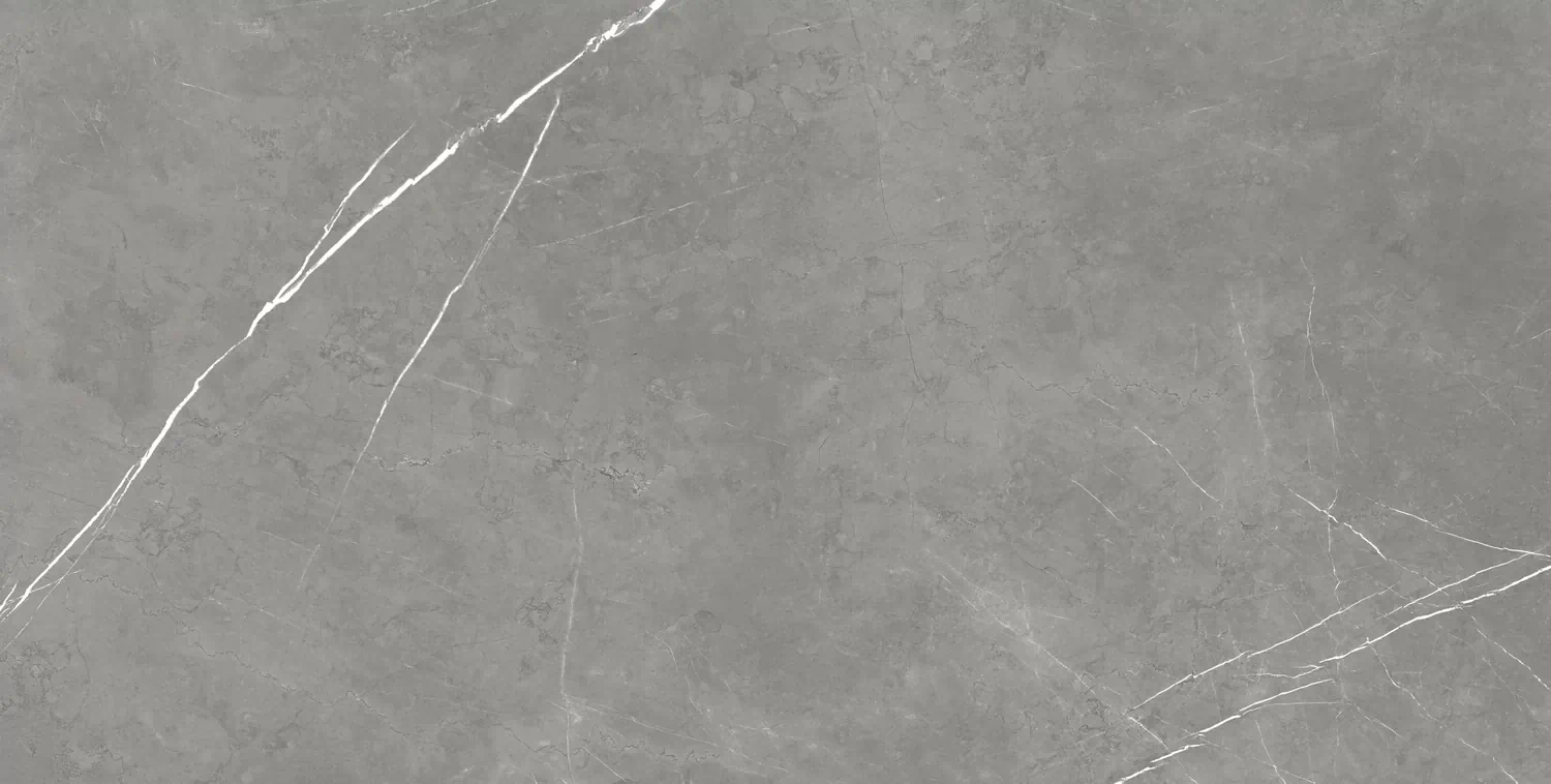 Керамогранит 610010002710 Forte dei Marmi Elegant Grey Rett 80x160