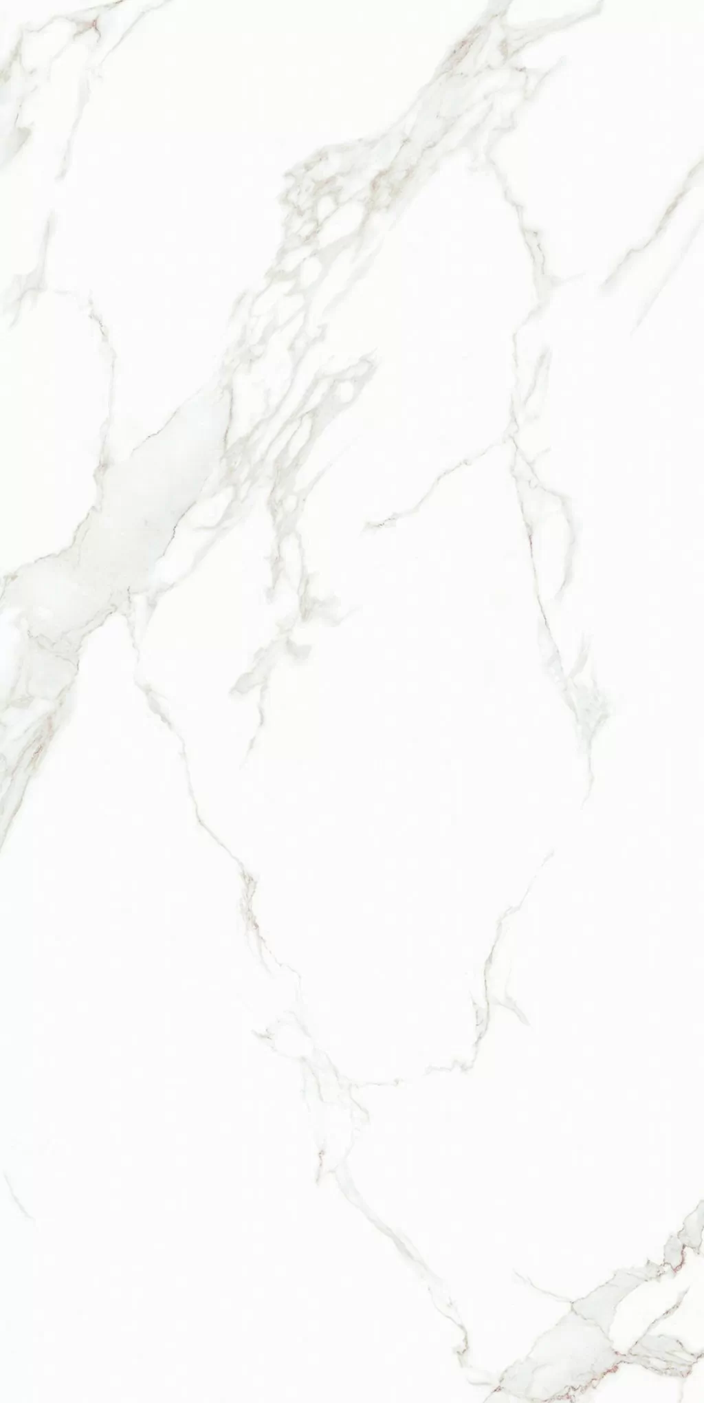 Плитка 0005 Amuletto White 25x50