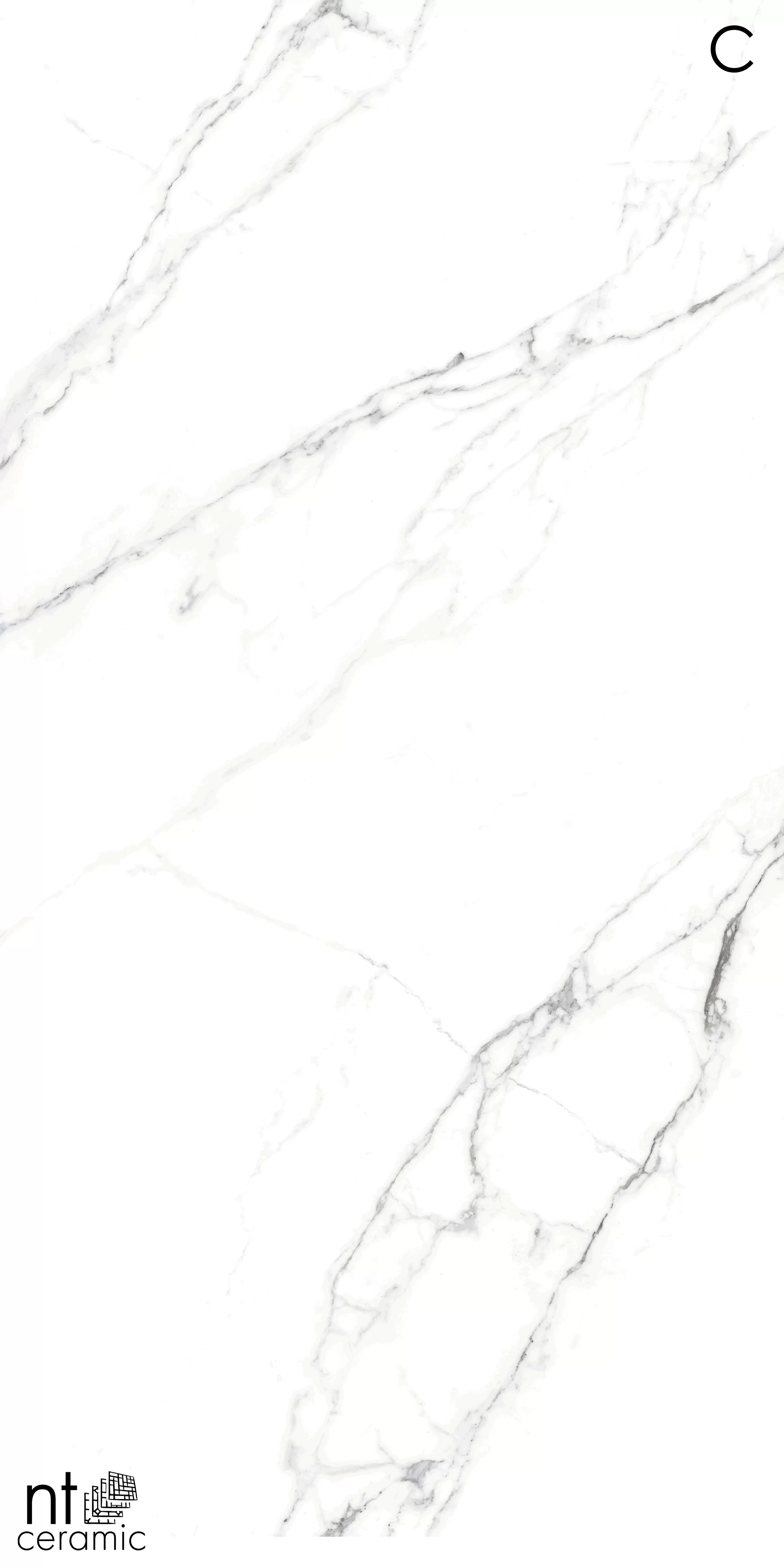 Керамогранит NTT3506L Calacatta Light 120x270
