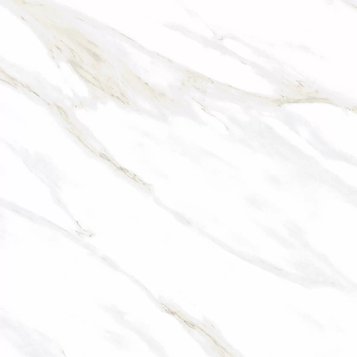 Керамогранит Calacatta Clarity Gold Белый Матовый 80х80