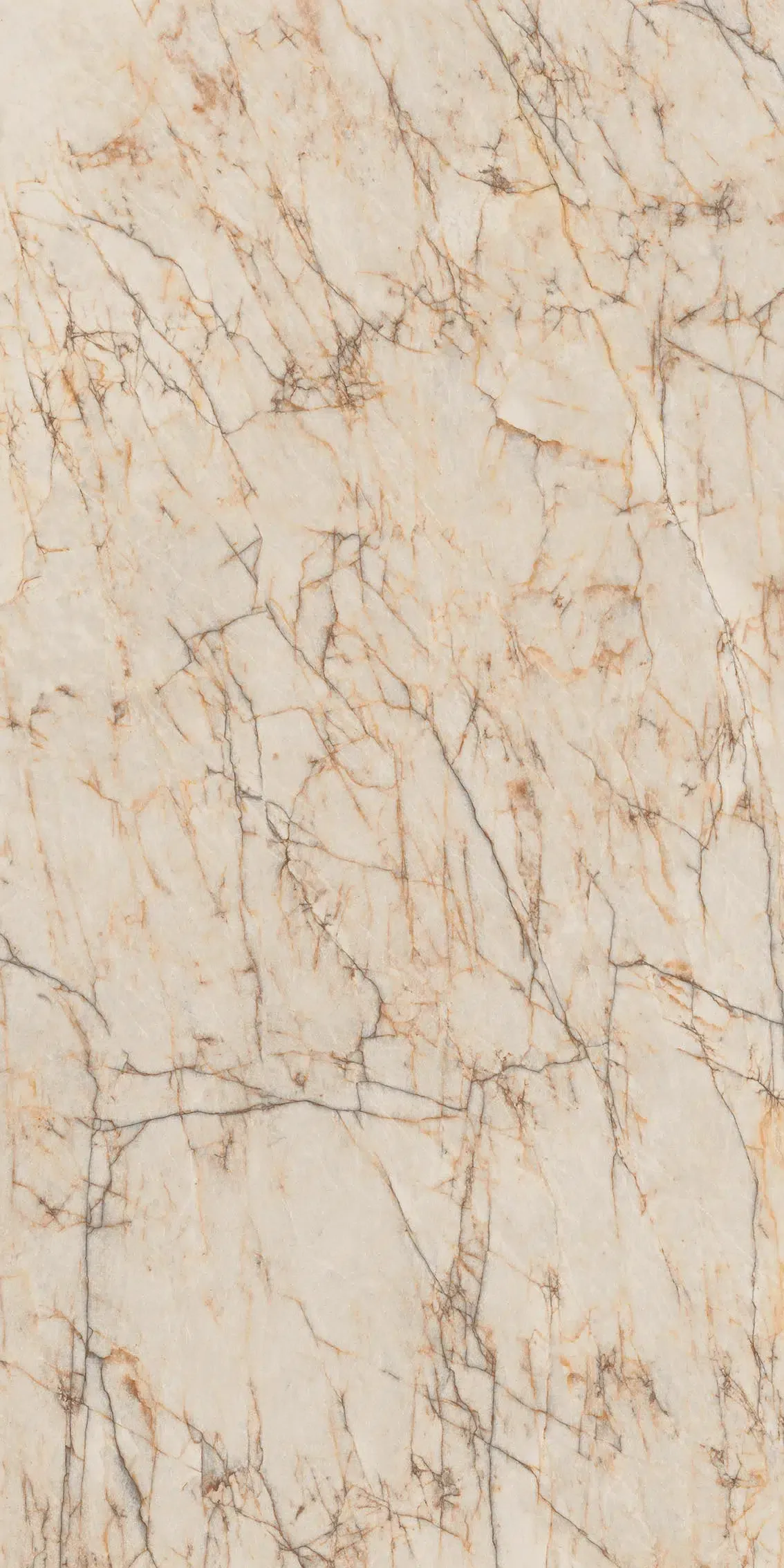 Керамогранит LAMFF01360_IT Cristallo Macchia Vecchia Lucidato Starlit 1620х3240