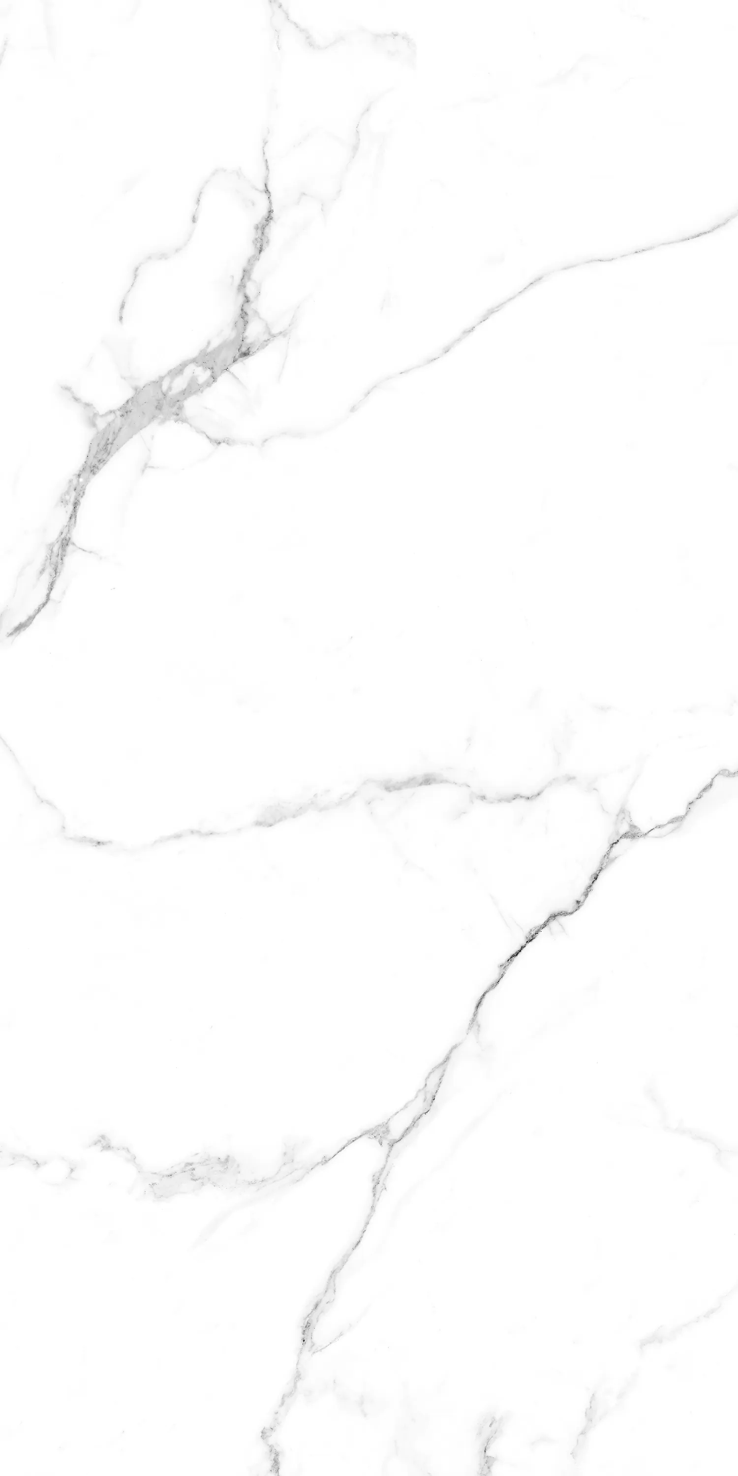Керамогранит Caribbean White Glossy 60х120