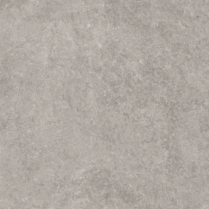 Керамогранит 100324749 Verbier Silver 59.6x59.6