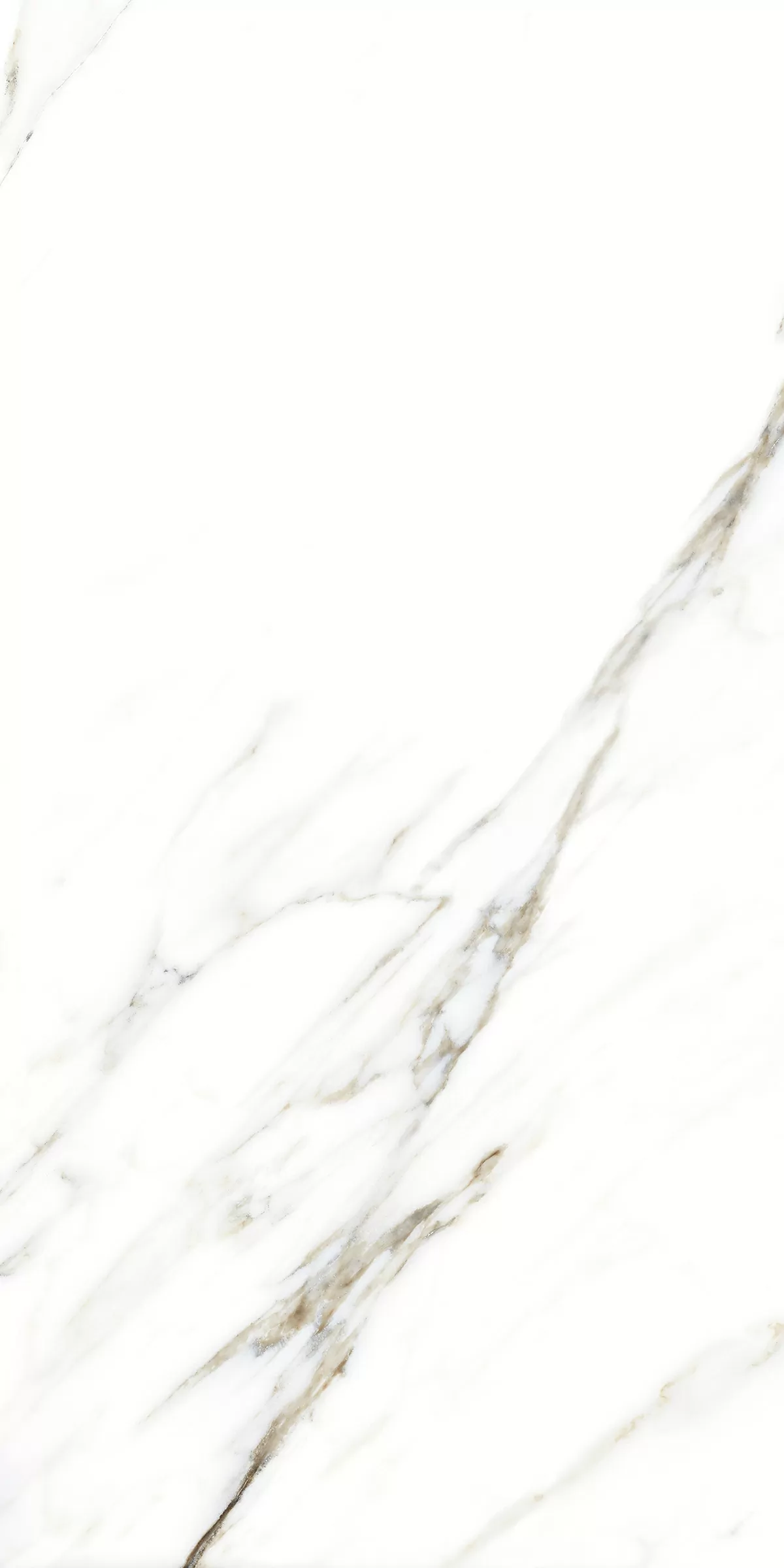 Керамогранит 893 Fantastic White 120x60