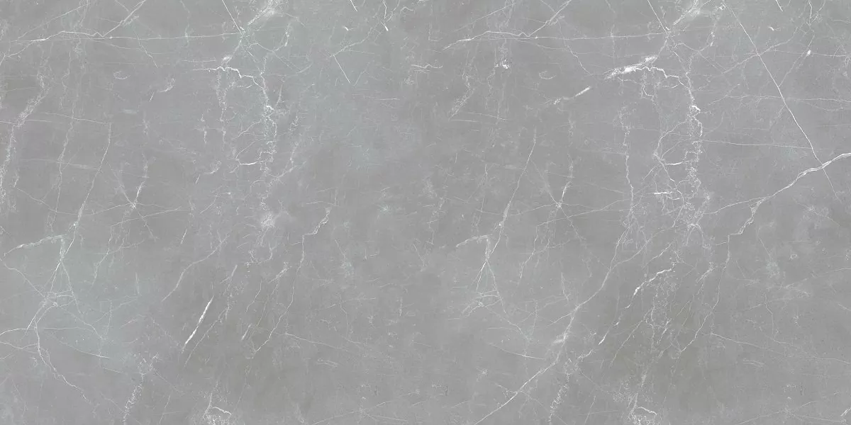 Керамогранит Arion Gray Dark 59.7х119.7
