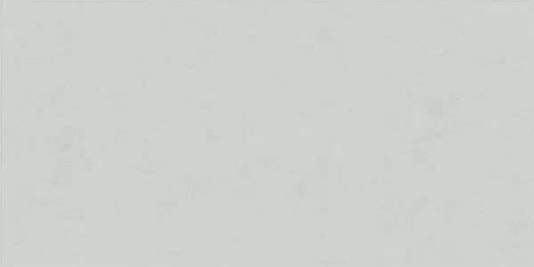 Керамогранит FLORALIA NEIGE 60x120